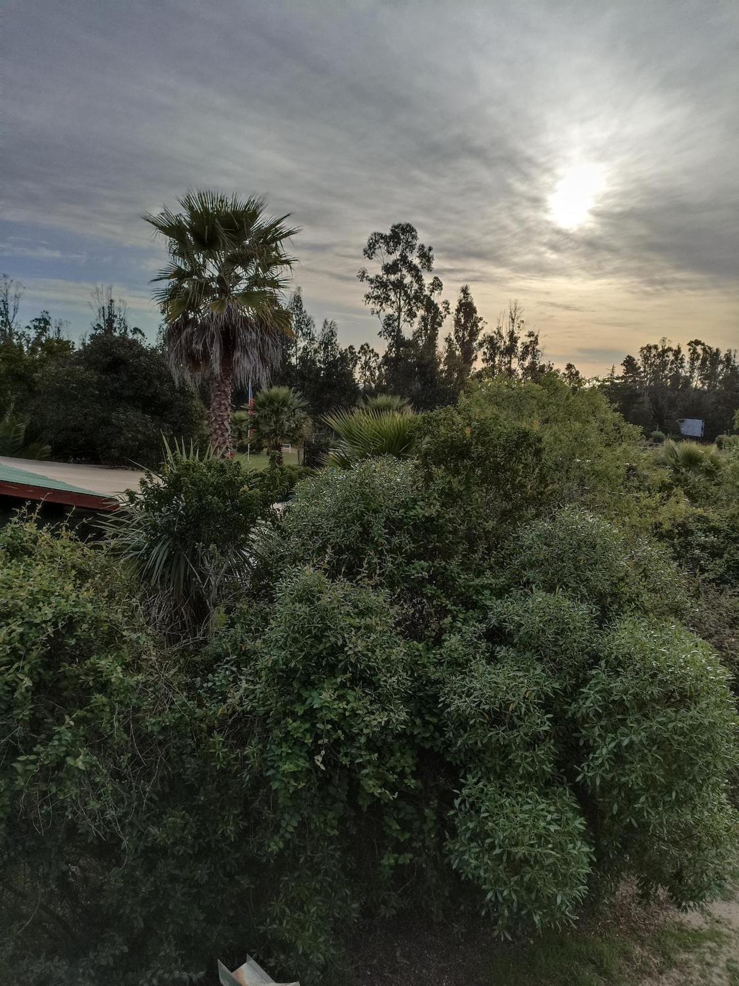 El Algarrobo Exterior foto