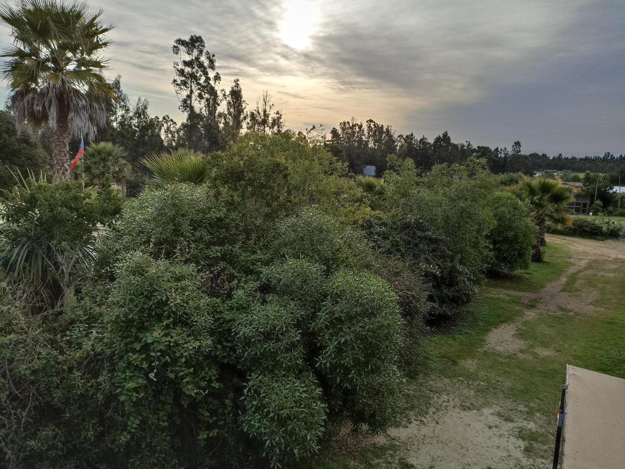 El Algarrobo Exterior foto