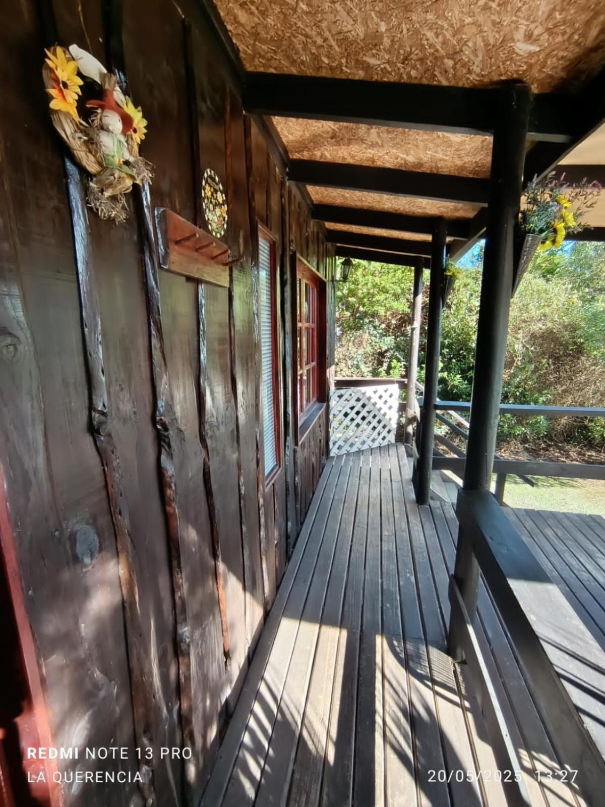 El Algarrobo Cameră foto